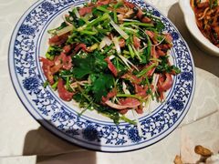 -新侨小馆(东直门北小街店)