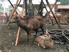 -国色天乡三期陆地乐园