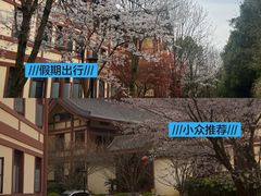 -庐山风景名胜区-东林大佛