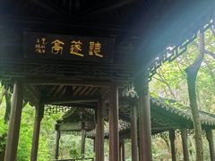 -上海佘山国家森林公园天马山园