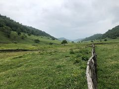 -关山草原