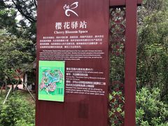 -天适樱花悠乐园