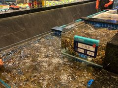 -东海怡品海鲜豆捞(舟宿夜江店)