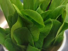 -川香煲(茅台路店)