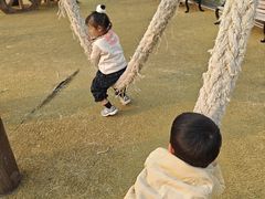 -枫香湖儿童公园