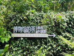 -中国茶叶博物馆(双峰馆区)