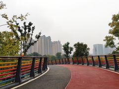 -府河摄影公园