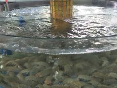-春园海鲜广场D区6号(钟姐海鲜加工店)