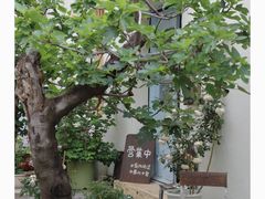 -春风十里咖啡馆