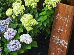 -concerto协奏曲咖啡店