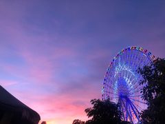 -凤岭儿童公园