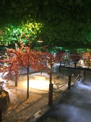 -酷嗒动物文化乐园(cutezoo西溪乐天城店)