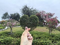-东莞植物园