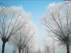 -雾凇岛