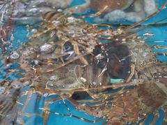 -清水湾3号(东方小周海鲜店)