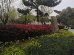 -八大山人梅湖景区