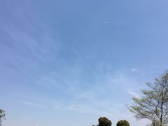-九里河湿地公园