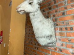 -六合顺