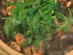 -食爺炭炉鸡煲·烧烤