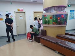 -慈铭体检(洋桥分院)