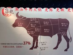 -山海龙·潮汕牛肉火锅(奥林春天店)