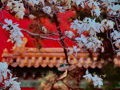 -北京市劳动人民文化宫(太庙)