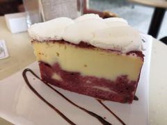 -哈根达斯(深圳海岸城店)