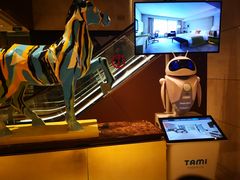 -武汉马哥孛罗酒店