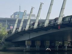 -运河游船(武林门码头)