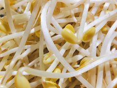 黄豆芽-一只烧鸡公(解放碑店)