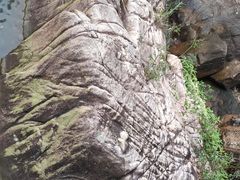 -广州白江湖森林公园