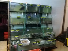 -江南村海鲜馆(洞头店)