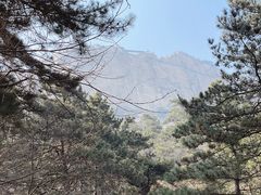-大芦花风景区