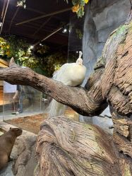 -Zoolung Zoolung动物主题公园(海信广场店)