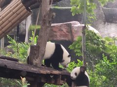 -宫廷糕点铺(双林中横路店)