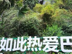 -百魔洞景区