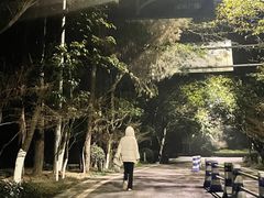 -金水泊山庄·花椒鸡(铁山坪店)