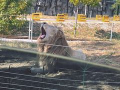 -秦皇岛野生动物园