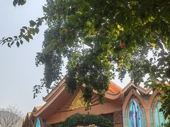 -西双版纳原始森林公园