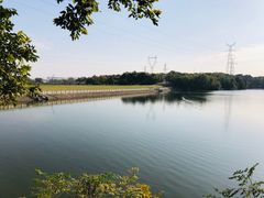 -佛手湖郊野公园