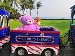 -亚龙湾喜来登·美景台大堂吧