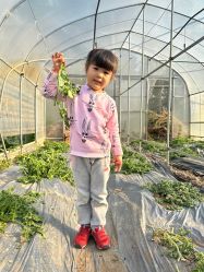 -前小桔亲子创意农场·草莓采摘·露营烧烤