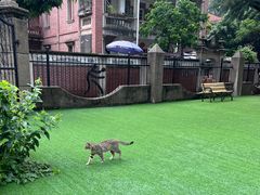 -莫泰酒店(厦门万象城火车站地铁站店)