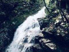 -藏龙百瀑风景区