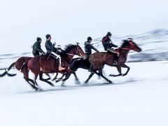 -山丹皇家马场