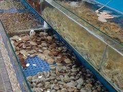 -港畔赶海蒸汽海鲜烧烤自助(仙螺岛店)