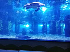 -台州海洋世界