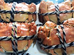 -乡乐园蟹庄·阳澄湖农家乐