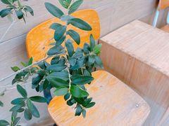 -Onirii Coffee(长乐路店)