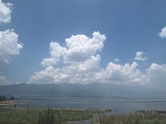 -野菌皇海景野生菌火锅(滨海大道店)